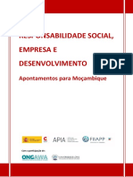 Responsabilidade Social, Empresa e Desenvolvimento em Cabo Delgado