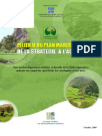 Pilier 2 Plan Maroc Vert