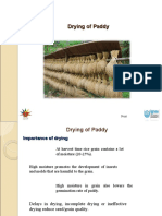 Drying Paddy 0