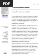 O Cultivo Do Tomate Em Roraima