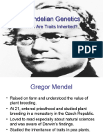 Mendel Genetics