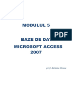 () - Curs Access 2007.pdf
