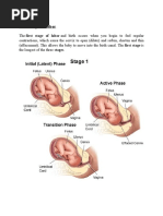 Partograph Form | PDF | Childbirth | Health Sciences