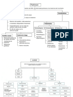 Mapa Conceptual Parkinson