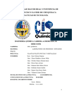 OFICIAL INFORME PLANTAS PILOTO