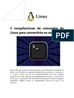 5 Comandos de Linux