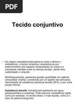 Tecido conjuntivo aula 3