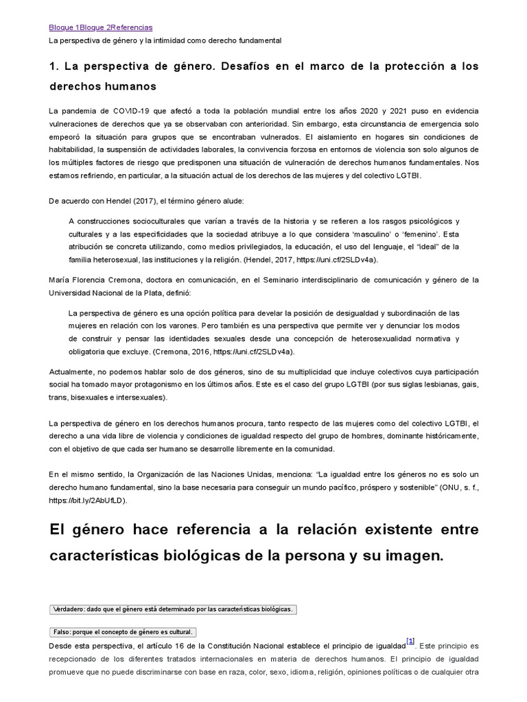 Perspectiva de Género y Derechos Humanos | PDF | La violencia contra ...