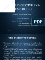 Animal Digestive Sys-TEMS (B-101)