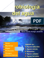 Microbiologia del Agua 