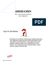 ediwan2048201109 PPT RHODAMIN