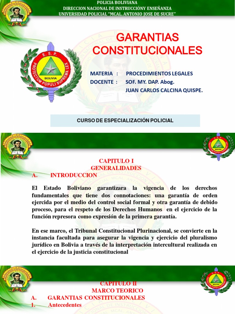 Garantias Constitucionales | PDF | Derecho Constitucional | Debido al ...