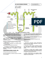 Terapia Nutricional Nas Doenças Renais