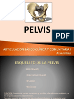 PELVIS