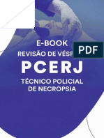 EBOOK Revisao - de - Vespera PCERJ 1