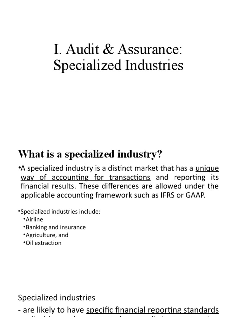 What Is Specialized Industry PDF Audit Accounting