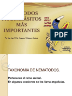 Taxonomía de Nematodos