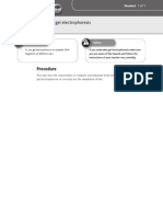 DNA Gel Electrophoresis