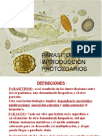 PROTOZOARIOS