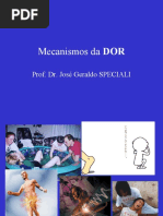 Aula Nivelamento Neurociencias