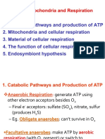 7 Mitochondria and Respiration-Sv22