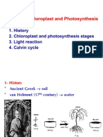 8 Photosynthesis 1