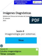 Imagenología de Tórax, 2021