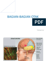 Bagian-Bagian Otak