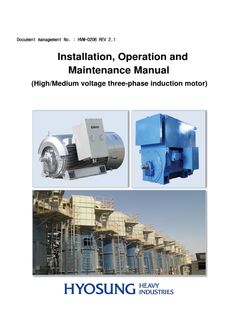 High Voltage Motor Instruction Manual - REV 2.1 - 201208, PDF, Belt  (Mechanical)