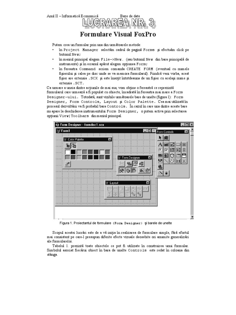 Formulare Visual FoxPro | PDF