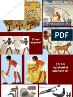 Egiptul Si Perioadele Istorice