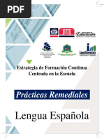 Practicas Remediales - Lengua