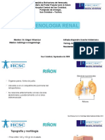 Radiologia Renal