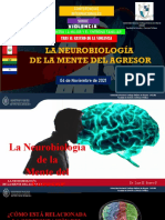 La Neurobiología  de la  Mente del Agresor