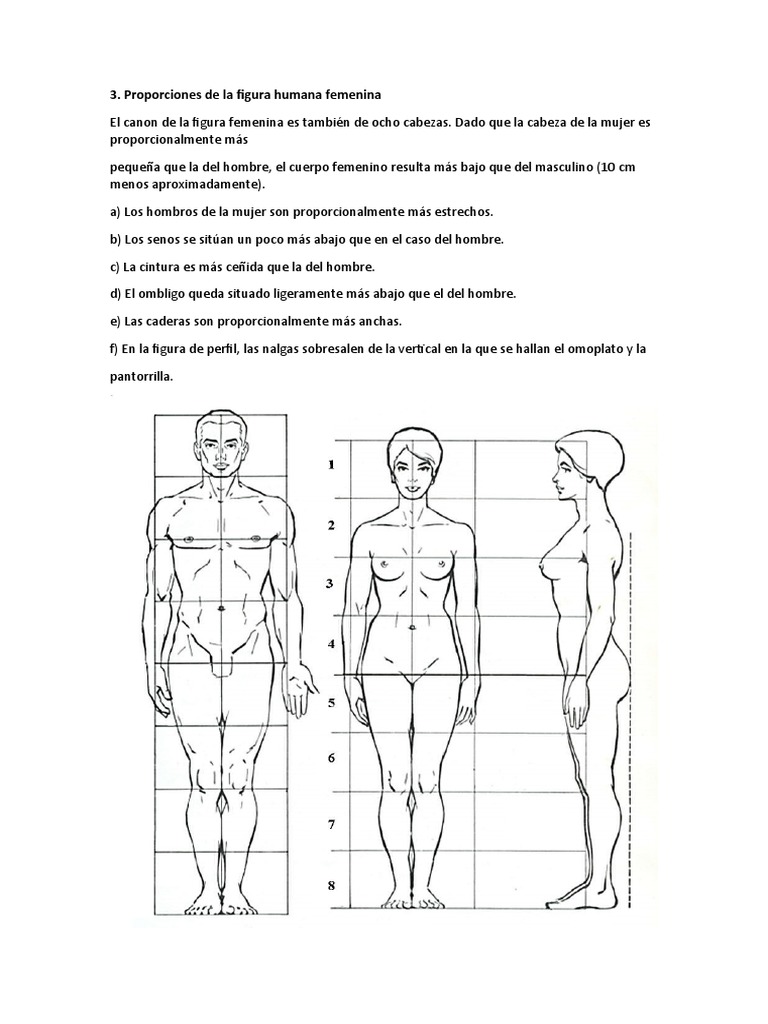 Proporciones de La Figura Humana Femenina | PDF