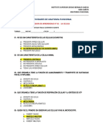 Actividades Sesion Aprendizaje 02 La Celula - Anatomia