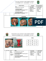 Urogynecology Division, Friday December 3rd, 2021 (Period November 28 ST - December 1st, 2021) 1 (1) - Dikonversi-Dikompresi