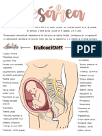 Imagen Sobre Gestante