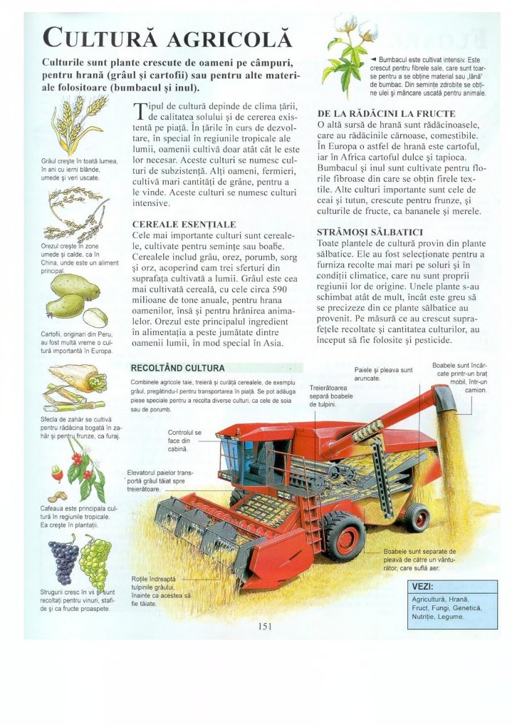 Enciclopedia Copiilor Vol 2