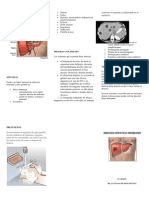 Absceso Hepatico Amebiano