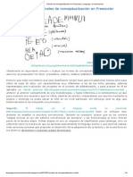 Niveles de Conceptualización en Preescolar - Lenguaje y Comunicación