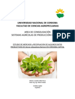 ESTUDIO DE MERCADO Y RECOPILACION DE ALGUNOS DATOS PRODUCTIVOS DE STEVIA - Panza, Leandro J.