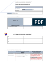 Informe Evaluacion Diagnostica Noemi