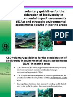 Mcbws 2015 01 CBD 03 en