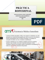 Práctica Profesional