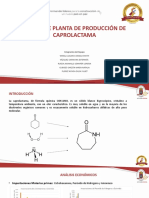 Diseño de Planta de Producción de Caprolactama