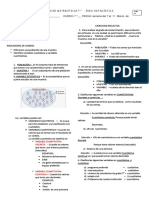 Taller de Estadistica 7°