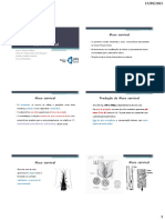 19 - Muco Cervical