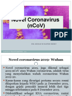 Novel Coronavirus
