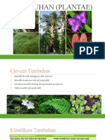 Tumbuhan (Plantae)